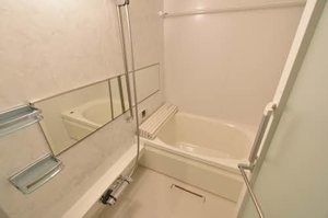 ラピス　トウエイ 0202号-10