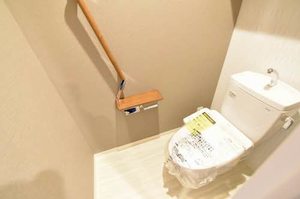 ラピス　トウエイ 0202号-11