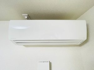 アズール ソウ 0202号-12