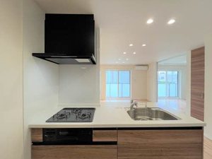 グラン　ローザ 0201号-11