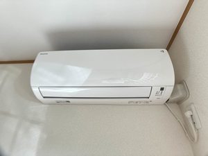 ミルト B101号-3