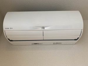 レイオンベール 0101号-12