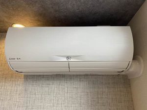 レイオンベール 0102号-11