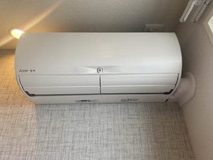 レイオンベール 0209号-11