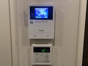 レイオンベール 0209号-12