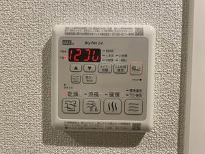 レイオンベール 0209号-14