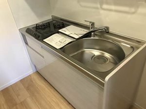 ベルドミール　アイカ 0201号-5