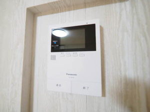 ベルドミール　アイカ 0203号-12