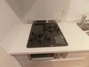 ルーエレジデンツ三日市 0304号-7