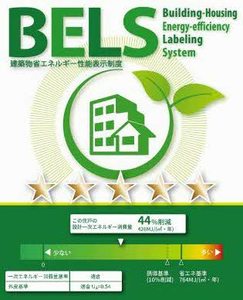 ケンティフォリア 0101号-3