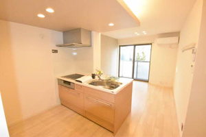 ケンティフォリア 0101号-5