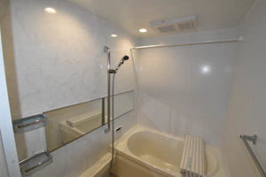 ケンティフォリア 0101号-12