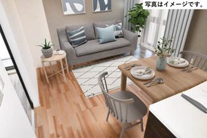 ケンティフォリア 0203号-2