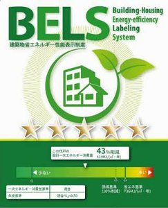 ケンティフォリア 0203号-3