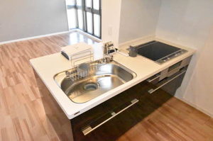 ケンティフォリア 0203号-5