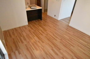 ケンティフォリア 0203号-7