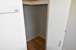 ケンティフォリア 0203号-9