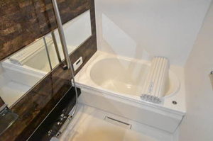 ケンティフォリア 0203号-11