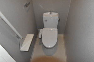 ケンティフォリア 0203号-13