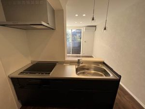 シエル　スラン 0102号-5