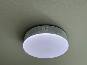 さくら 0102号-15