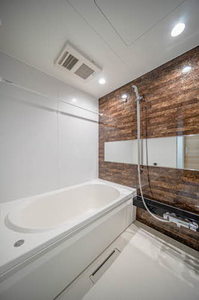 ベラ コリナ 0102号-6