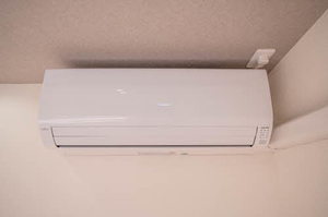 ベラ コリナ 0102号-15