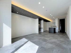 ドラセナテラス 0201号-4