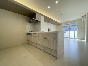 ドラセナテラス 0202号-2
