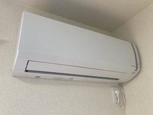フレグランス　ＳＡＷＡ 0101号-13