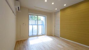 Ｆｅｌｉｃｅｍｉｎａ 0102号-3