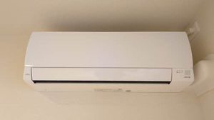 Ｆｅｌｉｃｅｍｉｎａ 0102号-14