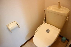 メゾンドールシェル 0103号-8