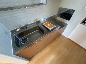 コンフォートⅡ 0206号-5