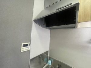 サンシャイン若草 A101号-11