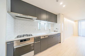 ＳｈａＭａｉｓｏｎ　ＵＮＯＤＯＳＴＲＥＳ 0302号-9