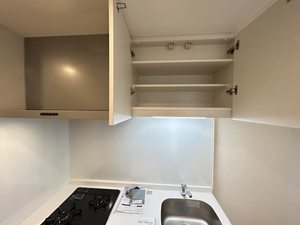 Ｒｏｏｔｈｉｌｌ　１０ 0305号-11