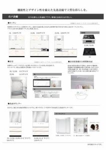 Ｒｏｏｔｈｉｌｌ　１０ 0407号-3