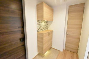 ルス　アリビオ 0201号-11