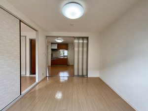 ストロベリー 0102号-11