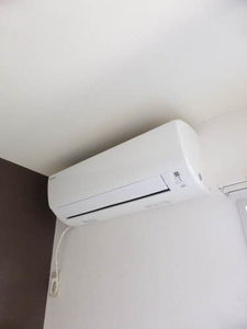 ストロベリー 0202号-6