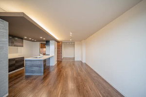 エグゼスト　グリジオ 0305号-2