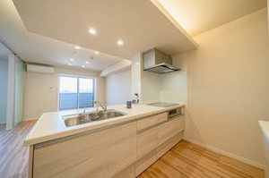 KORYO NEST 浄水 A307号-8