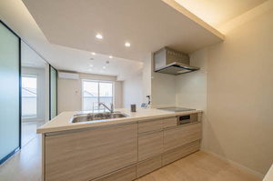 KORYO NEST 浄水 A308号-9