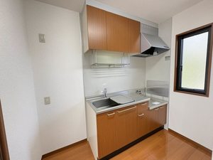 レディバード 0201号-2