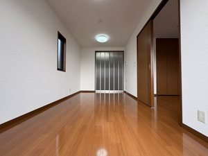 レディバード 0201号-3