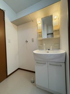 レディバード 0201号-5