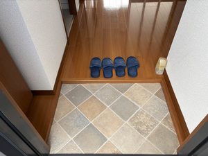 レディバード 0201号-11