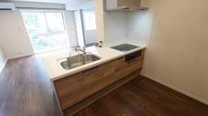 Ｓｅｒｄｉｎａ　Ｍａｂｕｃｈｉ（セルディーナ　マブチ） 0106号-9