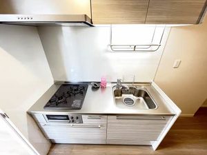 ヒルビレッジ静岡駅南 0201号-8